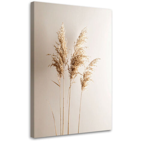 Wandbild Pampasgraspflanzen Natur Beige 40x60 cm