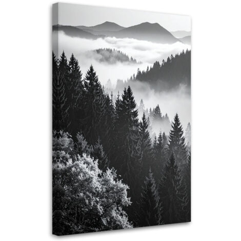 Wandbild Schwarz-weiße Berglandschaft 40x60 cm