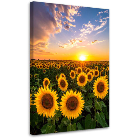 Wandbild Sonnenblumenfeld Sonnenuntergang 70x100 cm