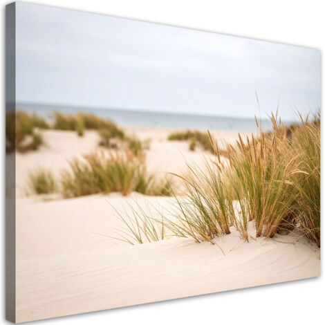 Wandbild Strand Meer Pflanzen Dünen Natur 60x40 cm