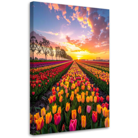 Wandbild Tulpen Blumen Wiese Ansicht 40x60 cm