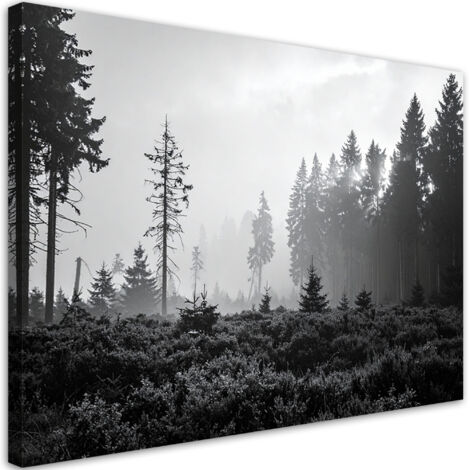 Wandbild Waldlandschaft schwarz-weiß 60x40 cm