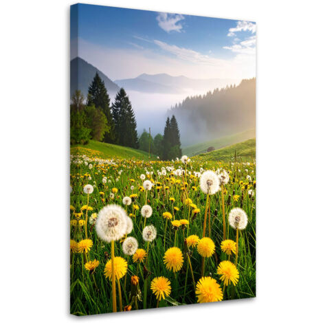 Wandbild Wiese Löwenzahn Berglandschaft 40x60 cm