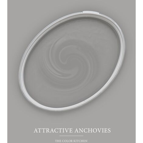 Wandfarbe Grau matt  The Color Kitchen Attractive Anchovies  Exklusive Innendispersion  5 Liter