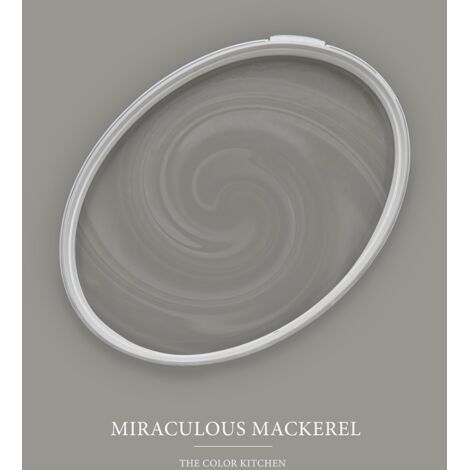 Wandfarbe Grau matt  The Color Kitchen Miraculous Mackerel  Exklusive Innendispersion  2.5 Liter
