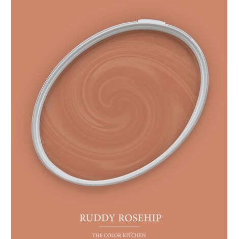 Wandfarbe Orange matt  The Color Kitchen Ruddy Rosehip  Exklusive Innendispersion Hohe Deckkraft  5 Liter