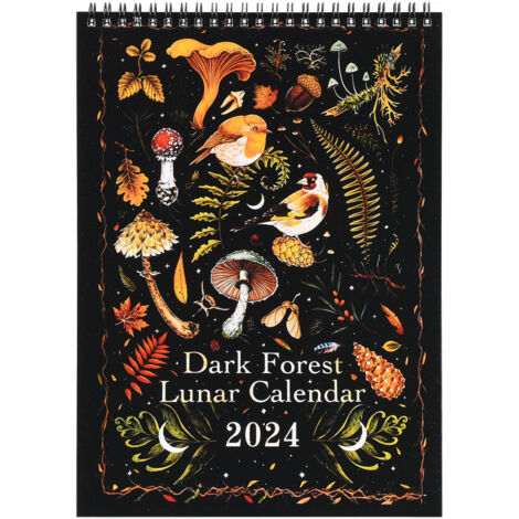 Wandkalender „Dunkler Wald“ 2024 – Kalender mit Fantasy-Illustrationen und Monatsplaner, Format 70 x 50 cm
