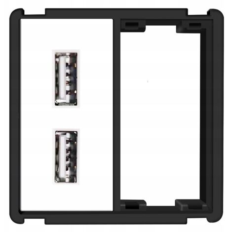 Wandsteckdosen-USB-Modul 2x 2,4A RTX SH-System