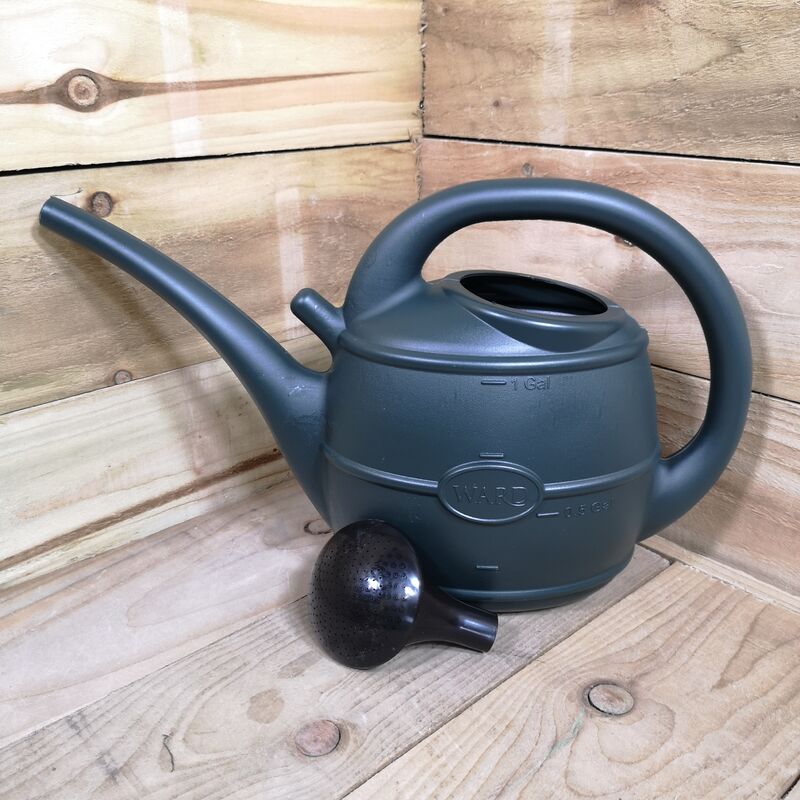 5L Ward Garden Watering Can with Rose - Green
