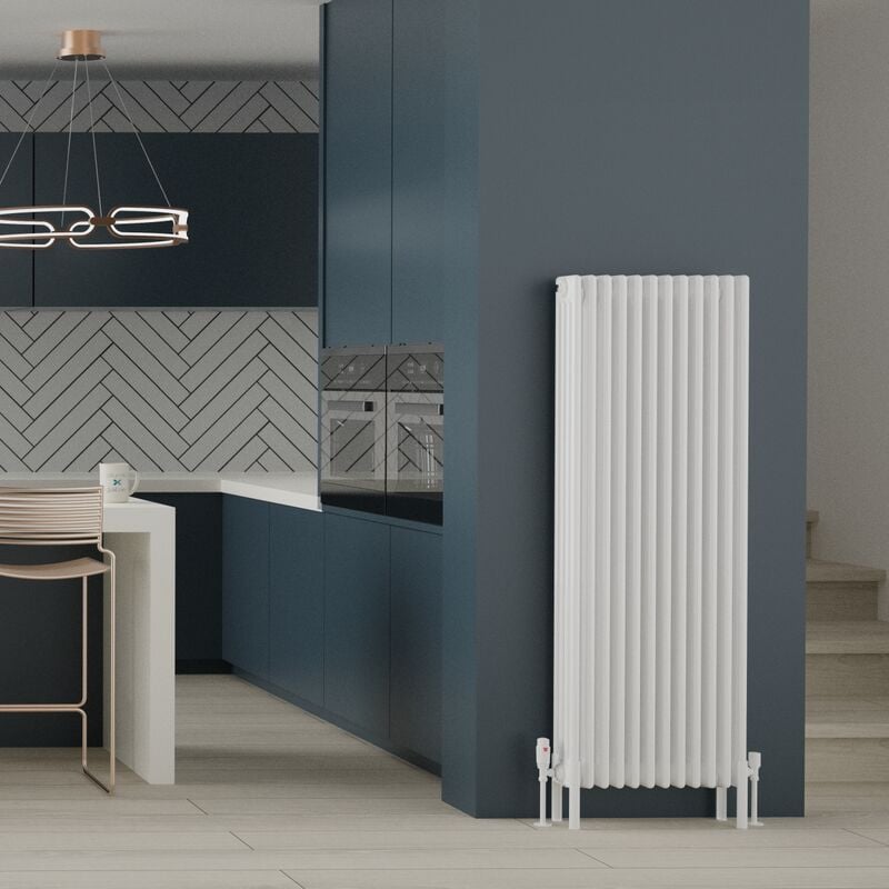 Traditional Horizontal Vertical Radiator Cast Iron Style 4 Column