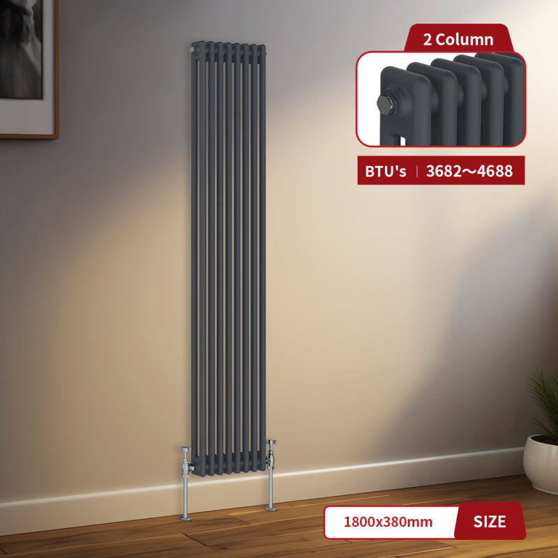 Image of Warmehaus Traditional Radiator 2 Column Anthracite&hellip;