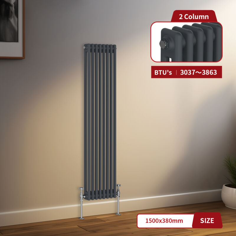 Image of Warmehaus - Traditional Radiator 2 Column&hellip;