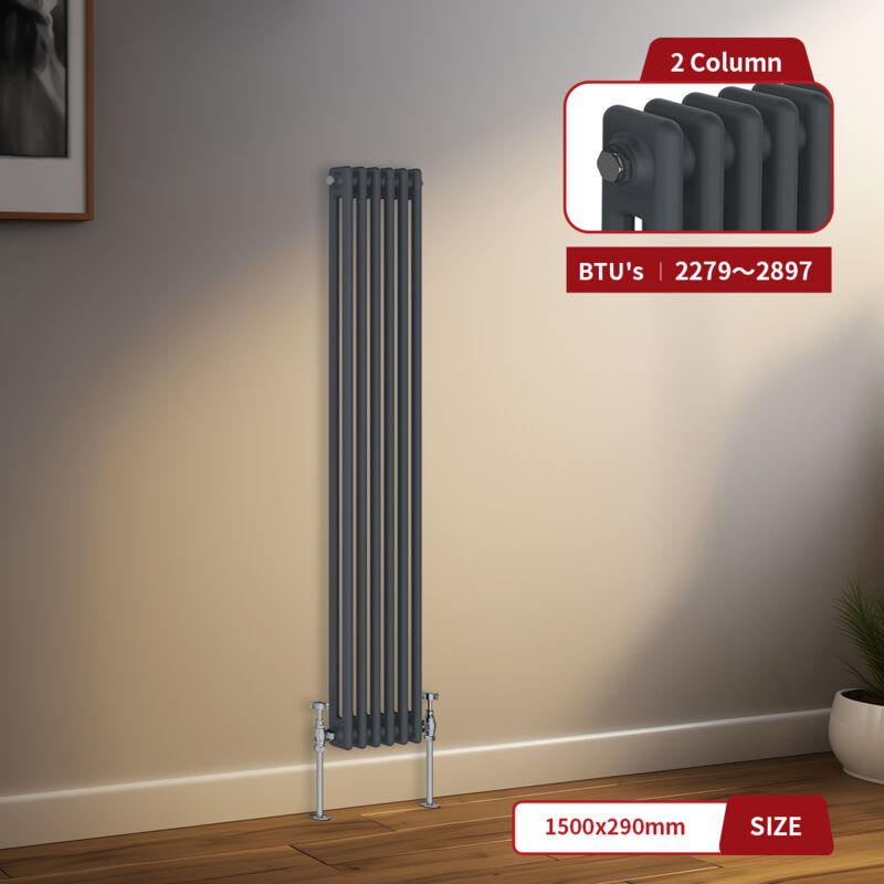 Image of Warmehaus Traditional Radiator 2 Column Anthracite&hellip;