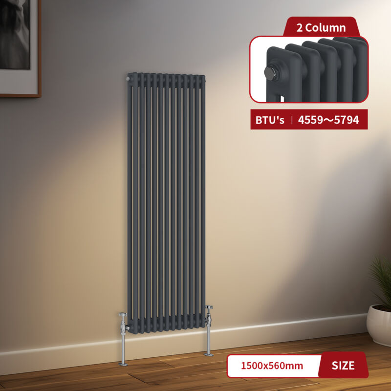 Image of Warmehaus - Traditional Radiator 2 Column&hellip;
