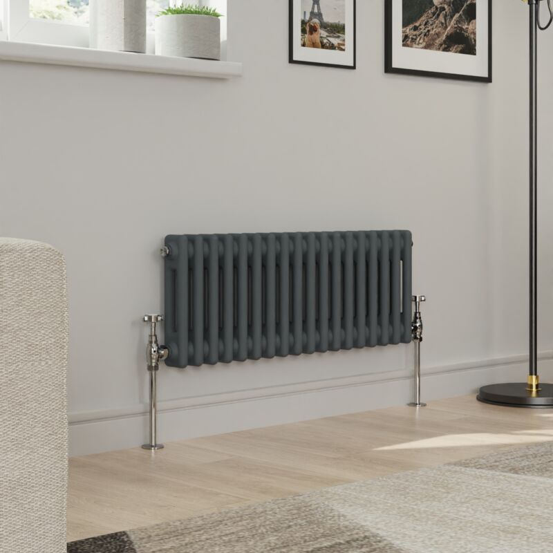 Image of Warmehaus - Traditional Double Column Anthracite&hellip;