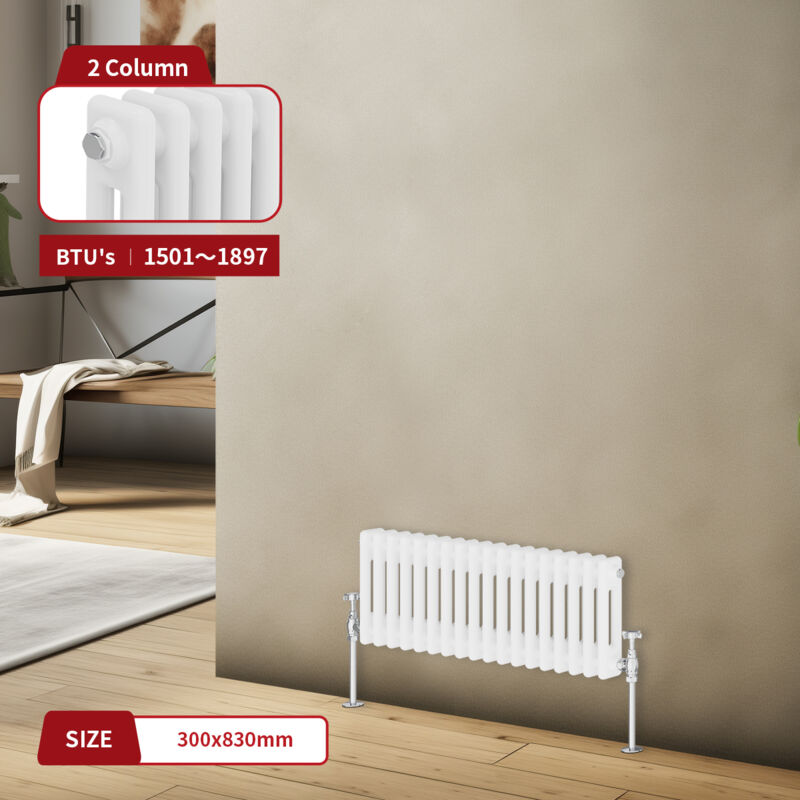 Image of Warmehaus - Traditional Radiator Double Column&hellip;