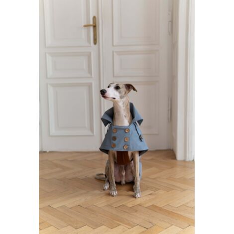 Wasserabweisender Hundemantel – Hellblau 2