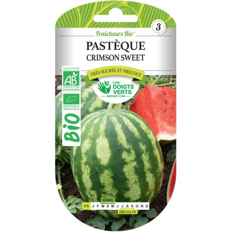 Wassermelonensamen Crimson Sweet BIO Die Grünen Finger