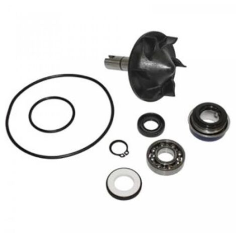 wasserpumpe buzzetti für roller yamaha 500 tmax 2008 bis 2012