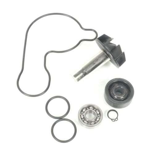 Wasserpumpe Motorparts für Roller Yamaha 300 CZD X-Max ABS 2017