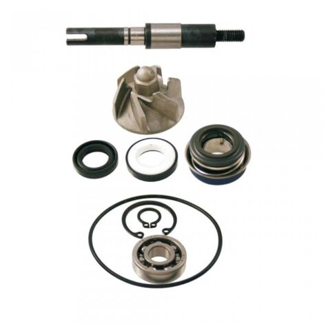 wasserpumpe rms für roller honda 150 dylan 2002 bis 2004 kf05a