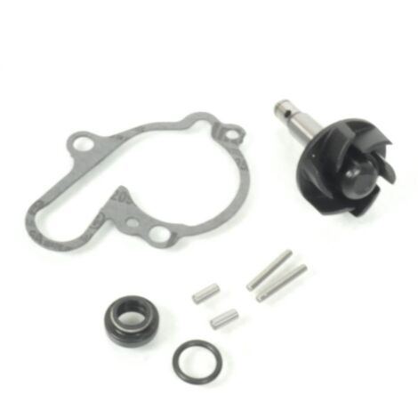 wasserpumpe rms motorrad für auto neu