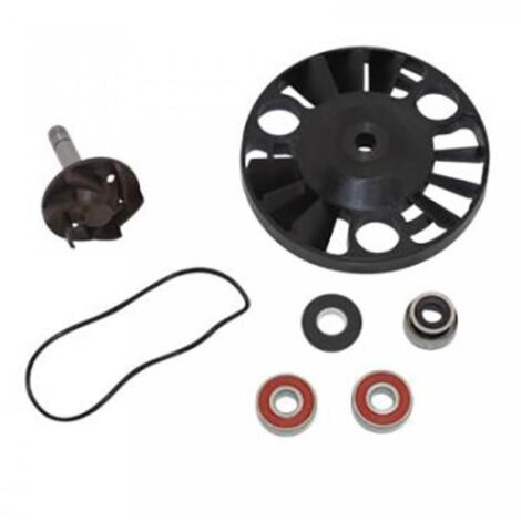 wasserpumpe top performance für piaggio roller 200 x9 evolution