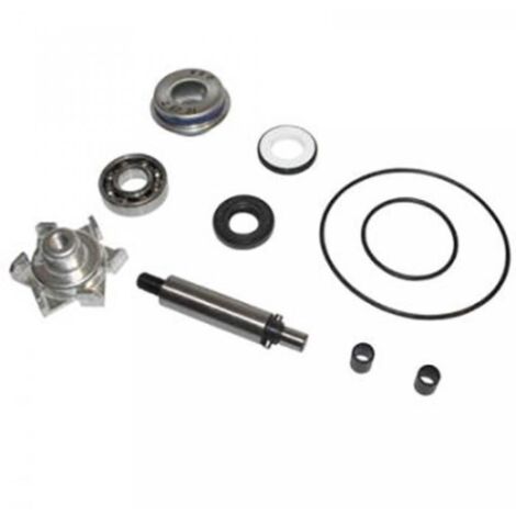 wasserpumpe top performance für roller honda 125 pcx 2010 bis