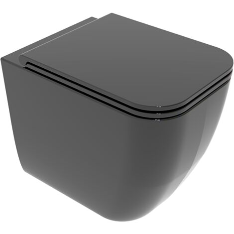 Water Brio filomuro senza brida (rimless) cm. 52,5x36 nero lucido