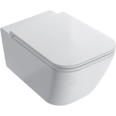 Water Stone sospeso senza brida (rimless) cm. 56x36 bianco lucido