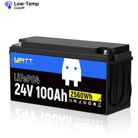 WattCycle 24V 100Ah LiFePO4 Akku-Batterie – 2560Wh Solarstromspeicher mit 100A BMS, 5000+ Zyklen & Tiefentladung – Für Wohnmobile, Solaranlagen, Boote & Off-Grid-Häuser