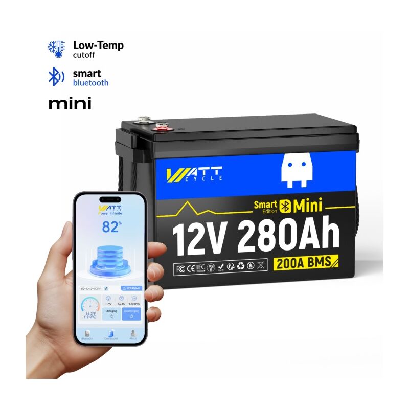 Batterie LiFePO4 au lithium à cycle profond LiFePO4 12V 280Ah au format mini, bms 200 a intégré, protection contre les basses températures, plus de