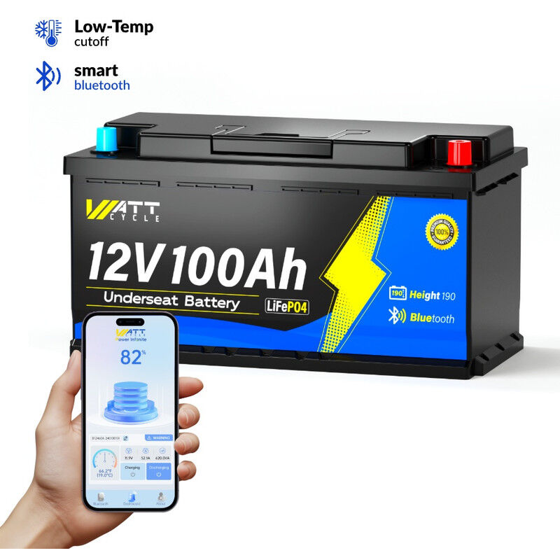 Batterie Lithium LiFePO4 12V 100Ah H190 avec Bluetooth bms 110A Intégré, Protection Basse Température, max.15000 Cycles, Étanchéité IP65 Idéale pour