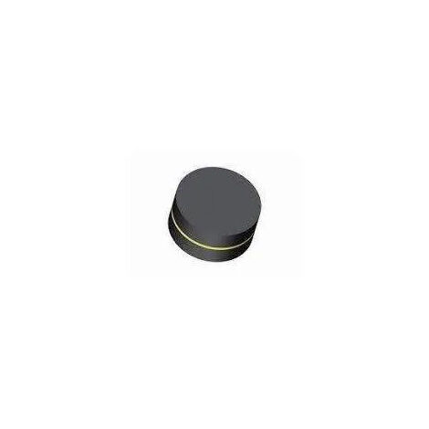 Watts - Clapets pleins 18x7mm 2 pcs - 504611