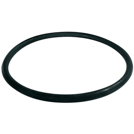 Watts – Joint torique RG OR pour filtre fioul bitube – Étanchéité optimale – Compatible RG 2 et RG Z – 22L0199013