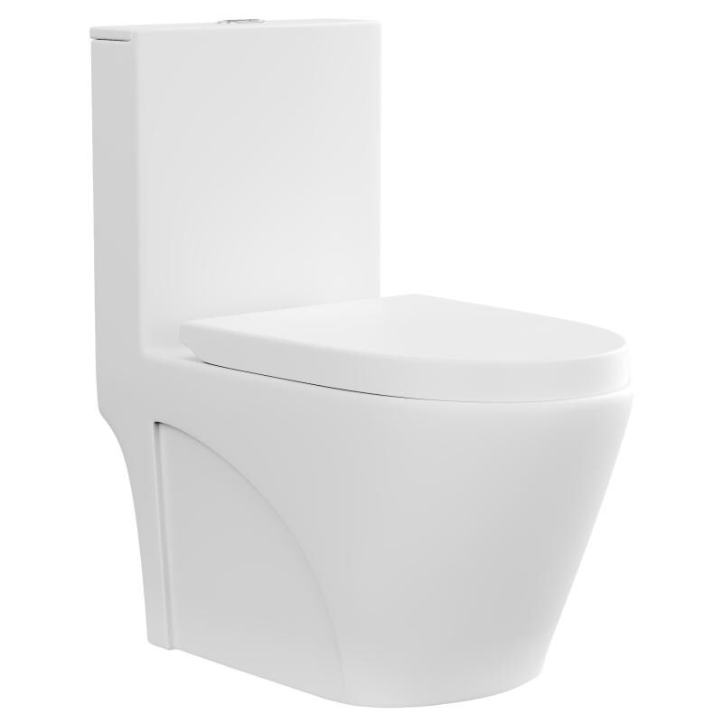 Vente-unique - wc à poser blanc mat en céramique - Evacuation horizontale - nagilam