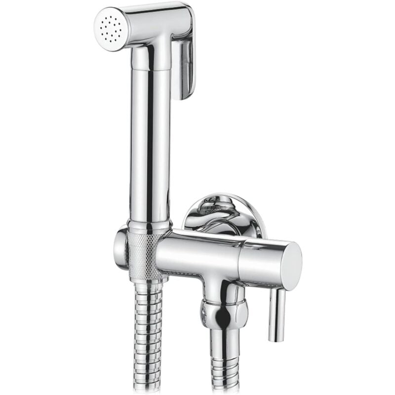 Wc Set avec, Flexible, Support, Douchette, Chromé, Argent