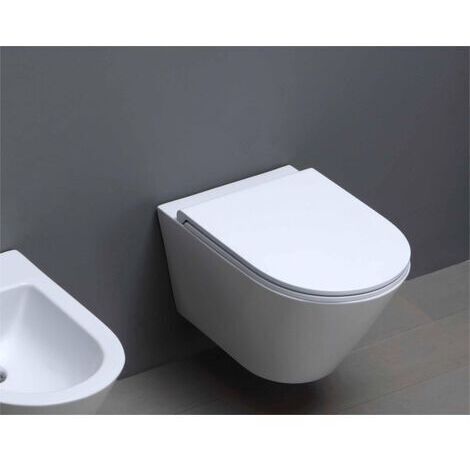 Wc Sospeso Senza Brida Azzurra Ceramica "Forma" Bianco Lucido