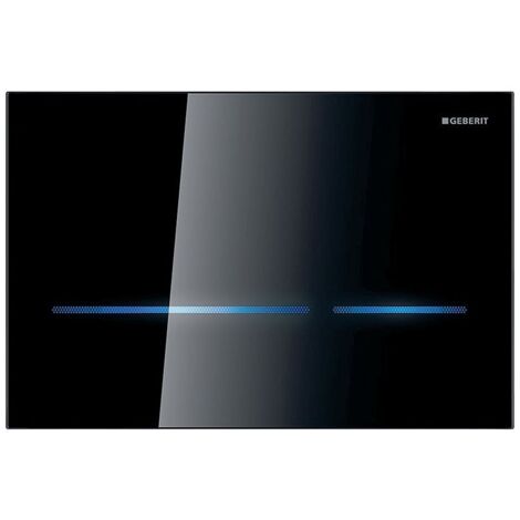 WC-Steuerung Sigma80 schwarz 230V