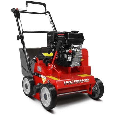 Weibang Vertikutierer WB 384 RC AL
