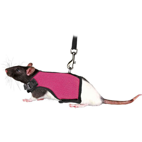 Softgeschirr mit Leine 1,2 m für Ratten - TR-61511