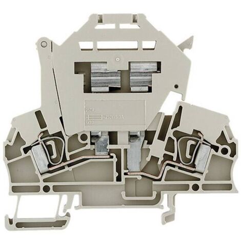 Weidmüller 1616400000-1 Morsetto componibile portafusibili A molla Beige scuro 1 pz.