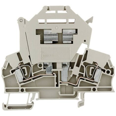 Weidmüller 1616440000-1 Morsetto componibile portafusibili A molla Beige scuro 1 pz.