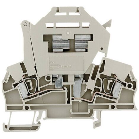 Weidmüller 1616440000-1 Morsetto componibile portafusibili A molla Beige scuro 1 pz.