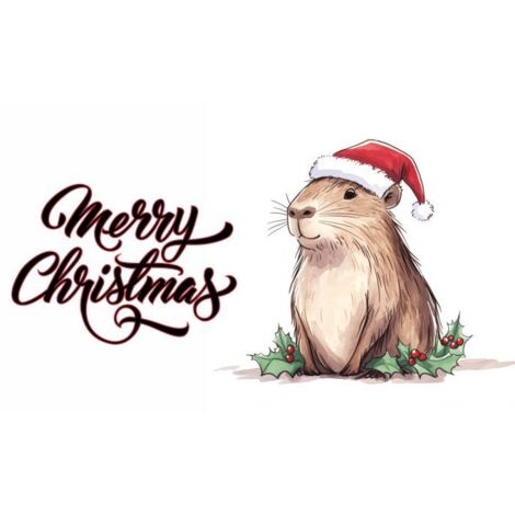 Weihnachtsbezug Magnetmatte Heizkörper CAPIBARA 60x100