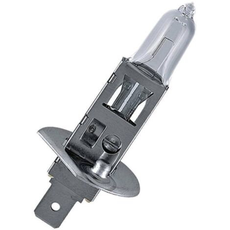 weiße Halogenlampe flosser h1 12v 100w p14.5s rallye für Motorrad