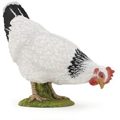 Weiße Henne pickt