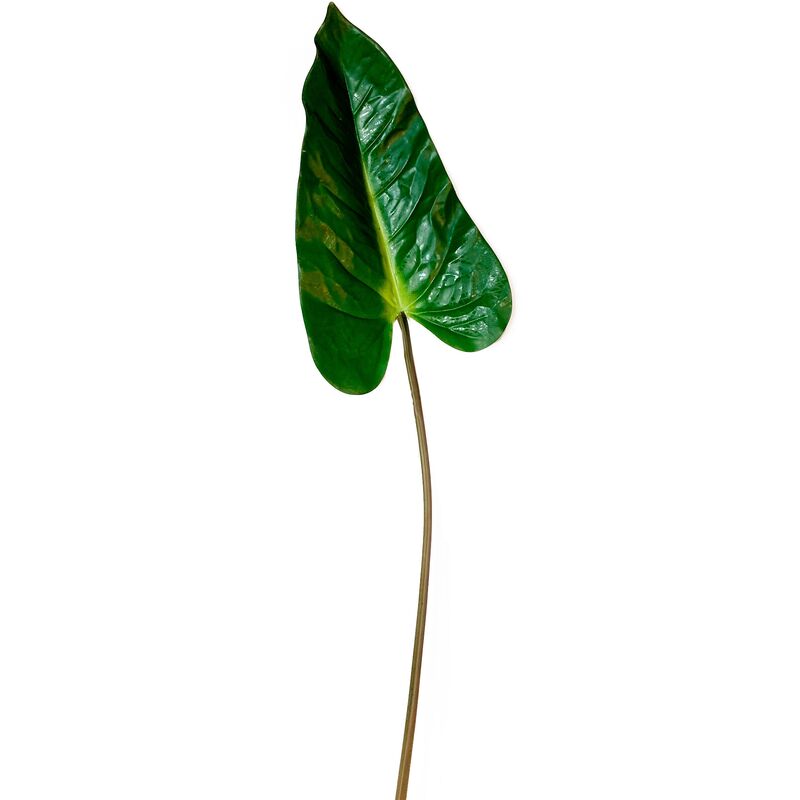 Set 12 feuilles d'anthurium artificiels 89 cm - Wellhome