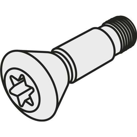 Wendeschneidplatten-Schraube ISO CS 46020-T25P Bruttogewicht 4g PRAMET