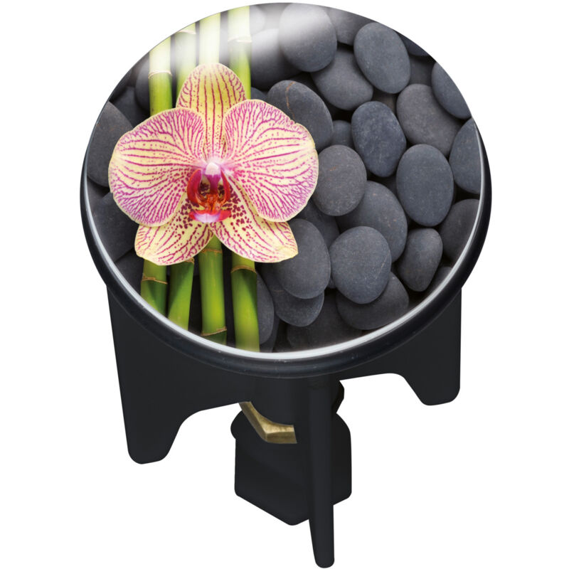 Bouchon d'évier Pluggy®, Bonde de lavabo, Spa, Laiton, ø 3,9x6,5 cm, multicolore - Wenko